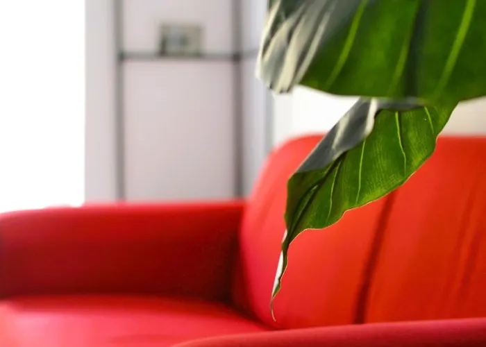 Aurora Tor Vergata,free Gated Private Parking Apartament